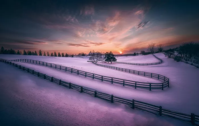 Ben.C.L: Ferme de chevaux en hiver