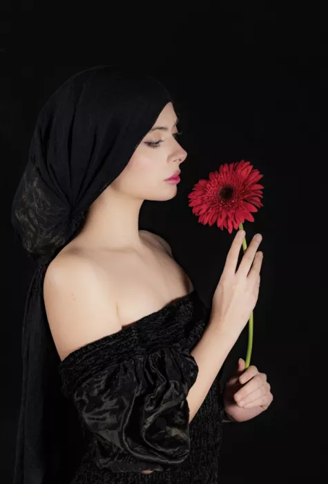 Calin, Silvia Rucsandra: Red gerbera
