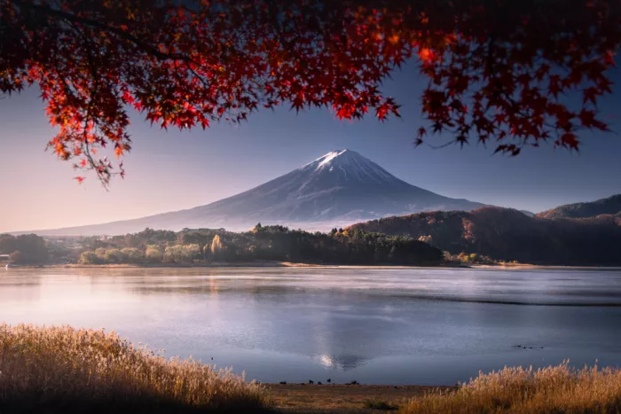 Nienartowicz, Karol: Fuji