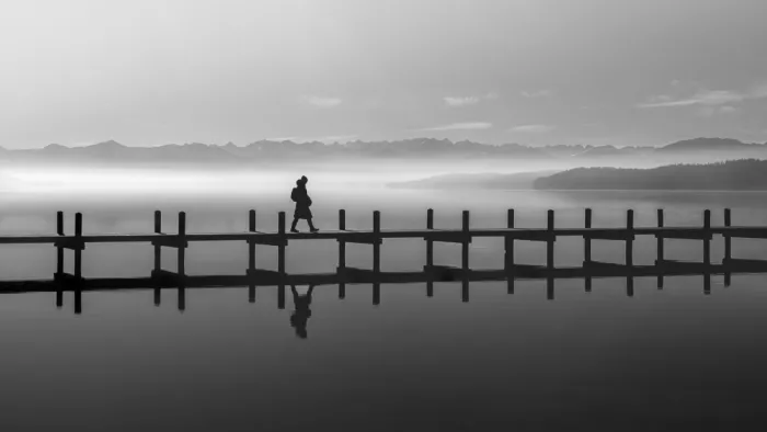 Dauer, Andy: Solo