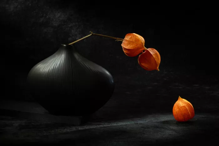 Kopcev, Igor: Natura morta con physalis X