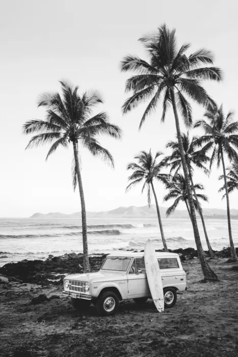 Pienaar, Kathrin: At the Beachbw
