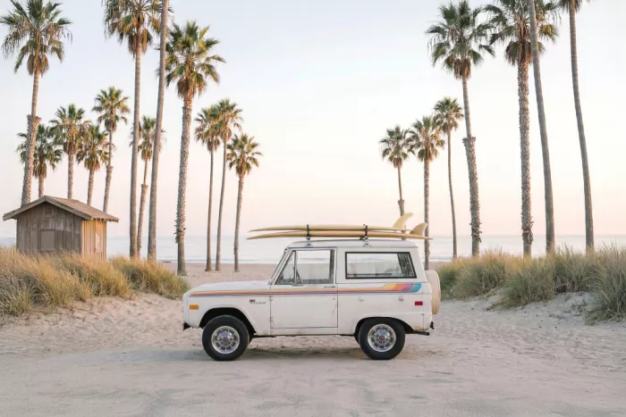 Pienaar, Kathrin: Bronco