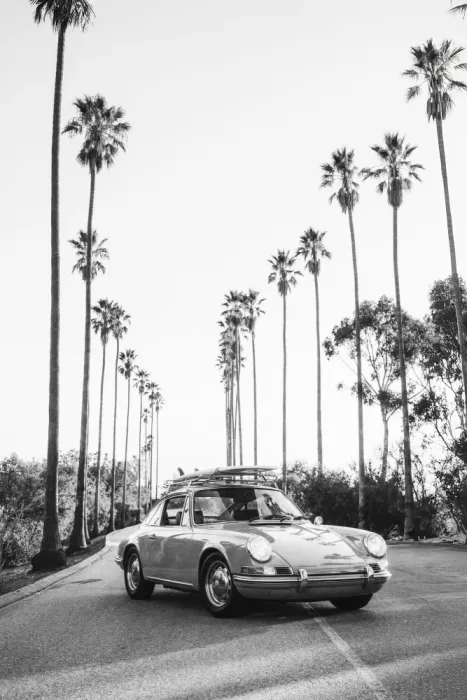 Pienaar, Kathrin: Posh In California