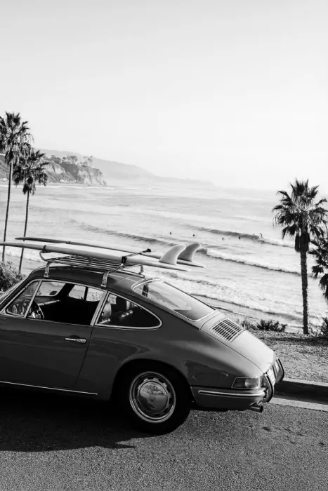 Pienaar, Kathrin: Posh Surfer