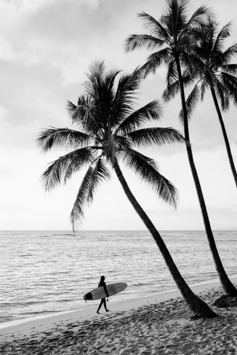 Pienaar, Kathrin: Surfer Walk