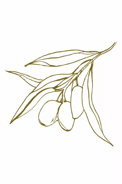 Treechild: Olivenzweig Nr. 02