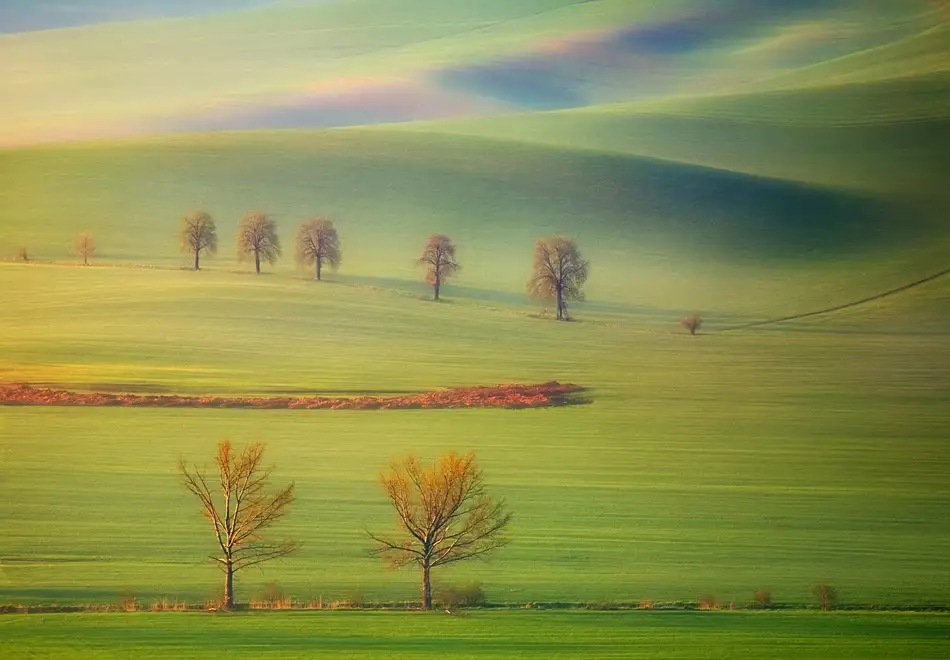 Browko, Krzysztof: Campi