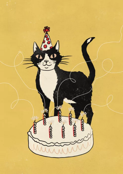 Nicholas: Gatto di Compleanno Vintage