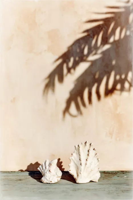 Treechild: Mutedmomentsno03