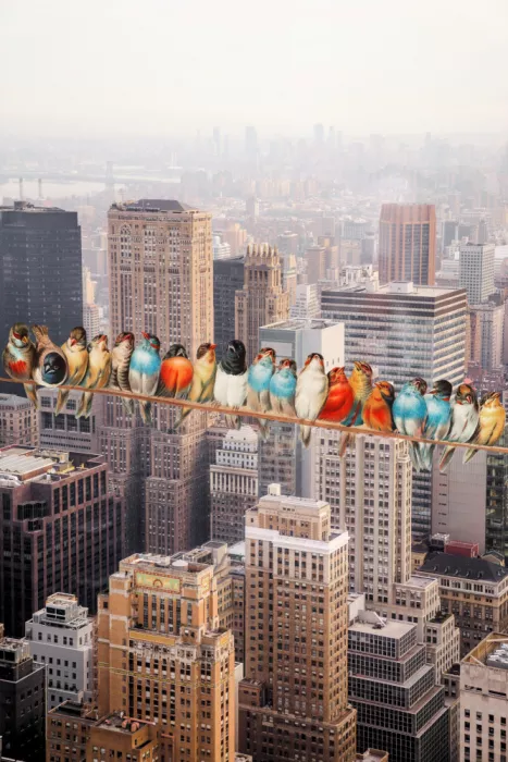 den, van Marja: Bunch Atop a Skyscraper