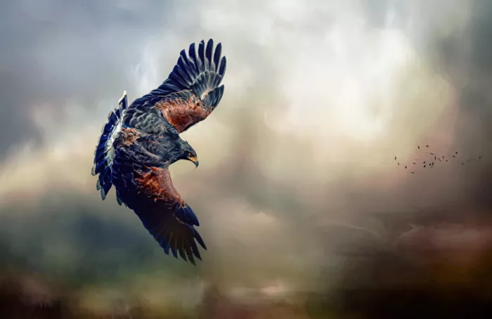 Fletcher, Barbara: Majestic Soar