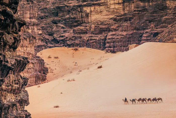 Tagliarino, Marco: Wadi rum lifestyle
