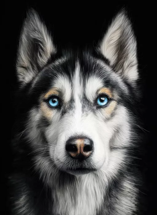 Jaszke, Justyna: Husky Dog