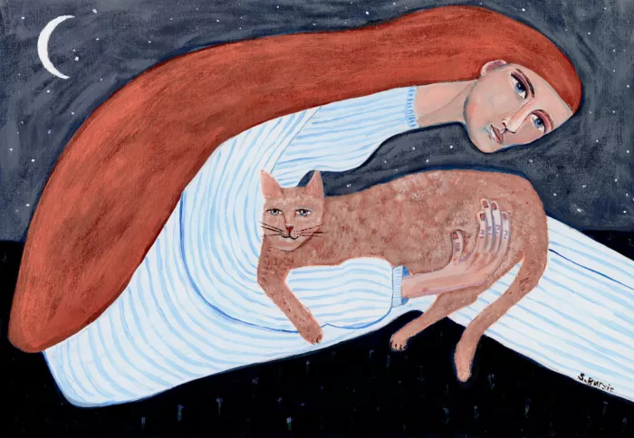 Bursic, Sharyn: Katzenliebhaber unter Sternen und Mond - rote Katze