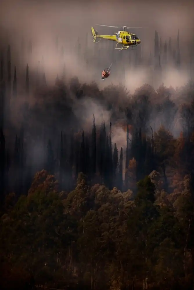 Grambone, Antonio: Feuer im Nationalpark Cilento – Italien