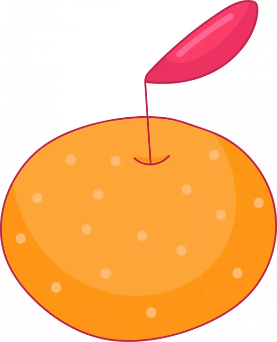 Barsrsind, Marika: Šťavnatá mandarinková ilustrace ovoce