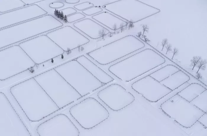 Zhao, Emma: Well Laid out Farm in Winter