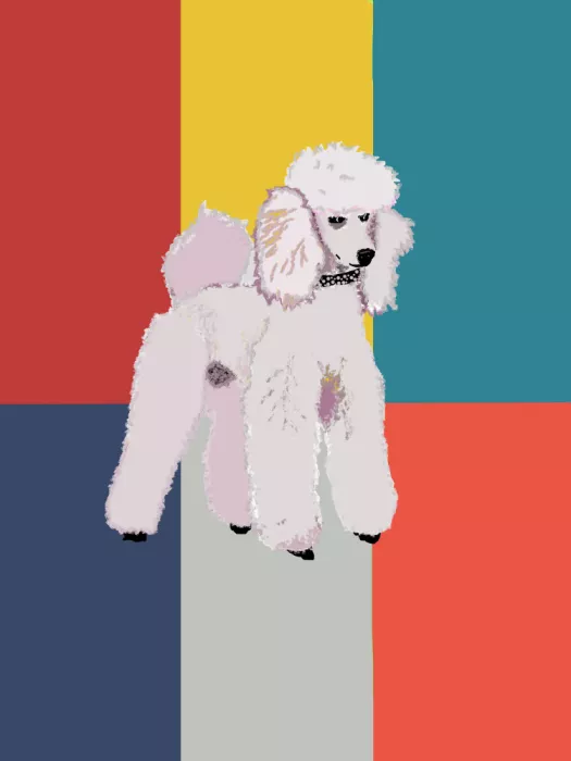 Rakos, Lynnda: Poodle in Squares