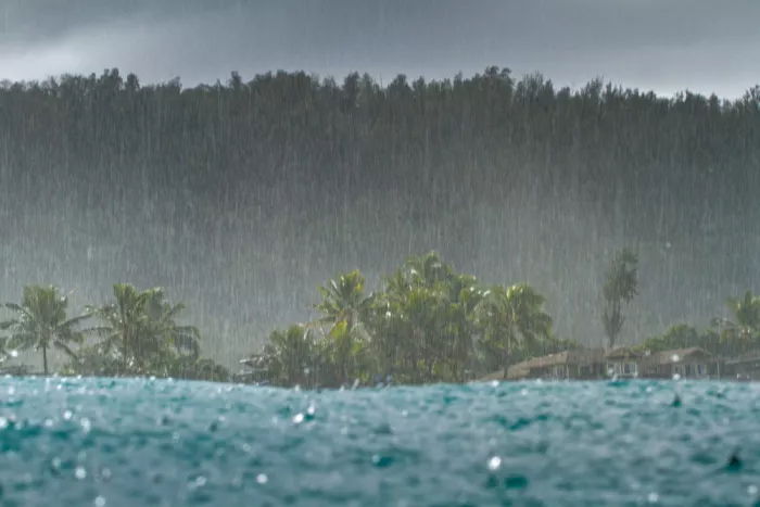 Fox, Ant: Tormenta de lluvia