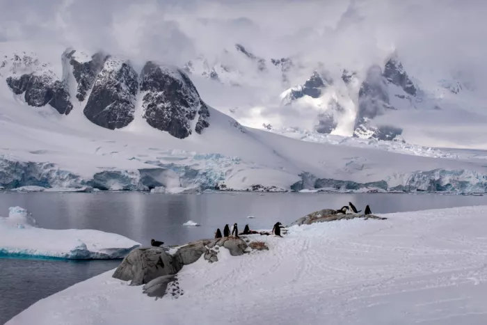 Liu, Ren Raymond: Paesaggio della Penisola Antartica visto dall