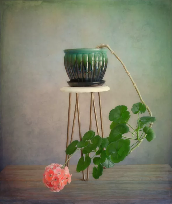 Zhou, Fangping: Gracia en flor
