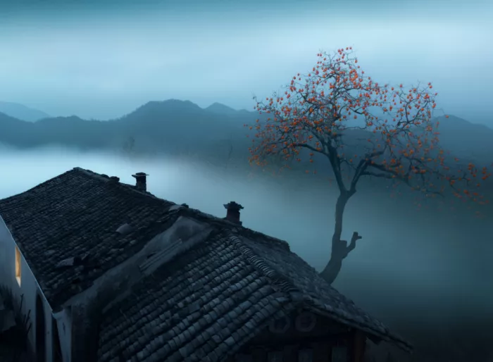 Ye, NingYun: Árboles de caqui en una aldea antigua