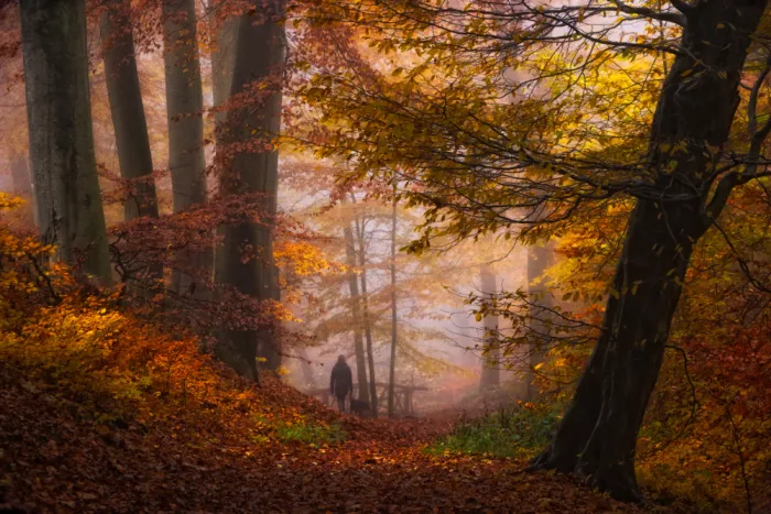Lee, van Hilda: Una passeggiata autunnale