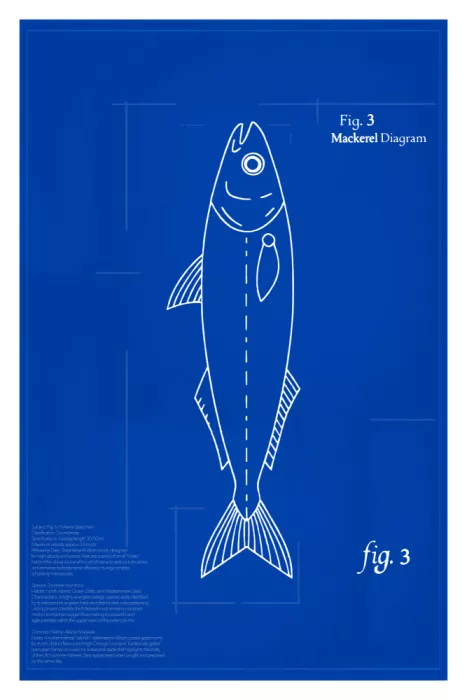 cartissi: Caballa (Fig. 3): El Corredor iridiscente