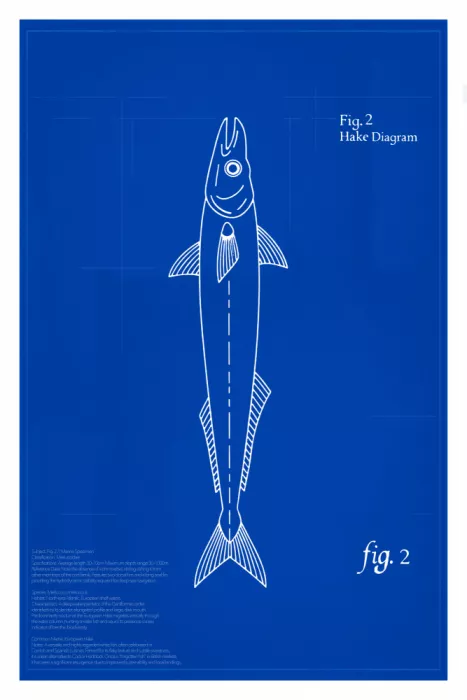 cartissi: Merluza (Fig. 2): El Nómada de las aguas profundas