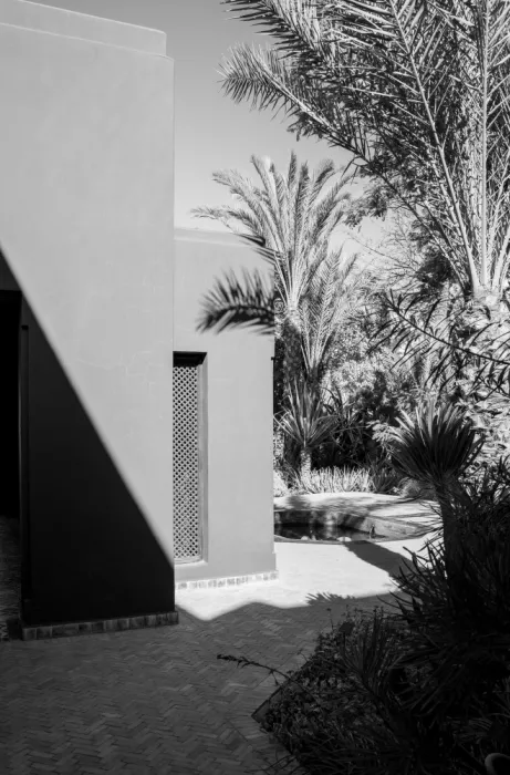 Schenk, Henrike: Passeggiata in un giardino tropicale