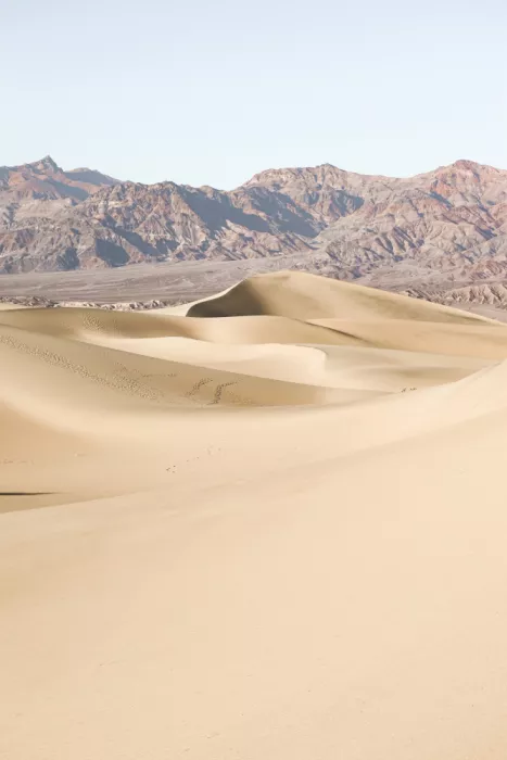 Schenk, Henrike: Death Valley