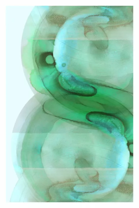 cartissi: Fluidez viridiana