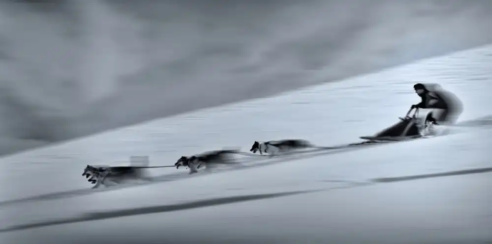 Ignac, Dusan: Mushing