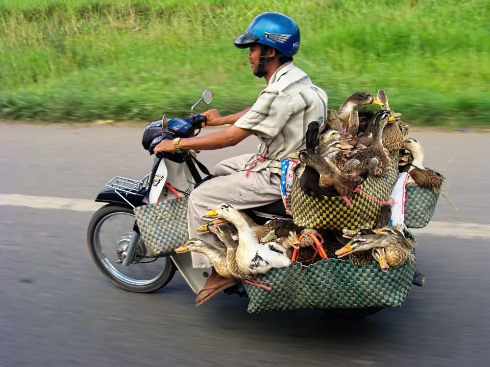 la, de Javier: 25 on a motorbike