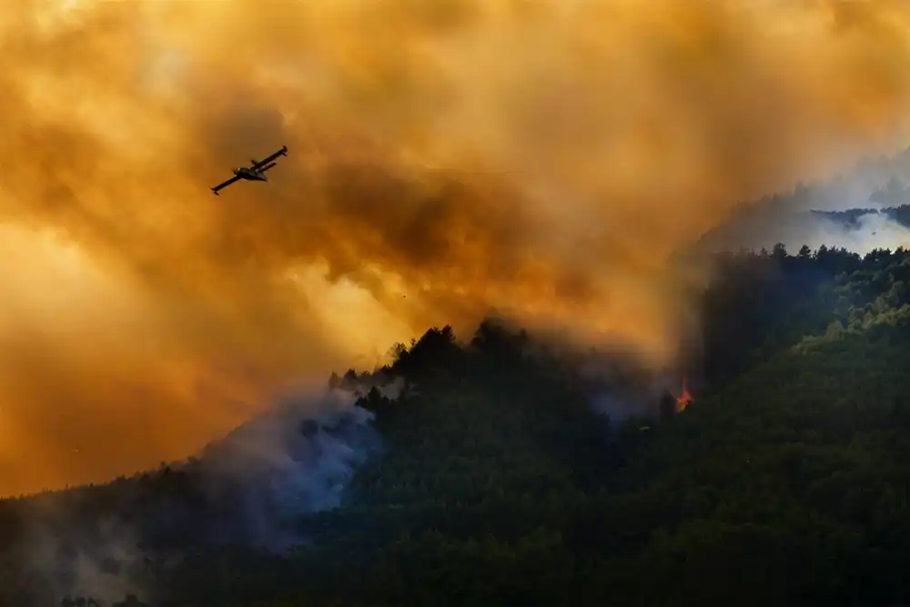 Grambone, Antonio: Feuer im Nationalpark Cilento – Italien