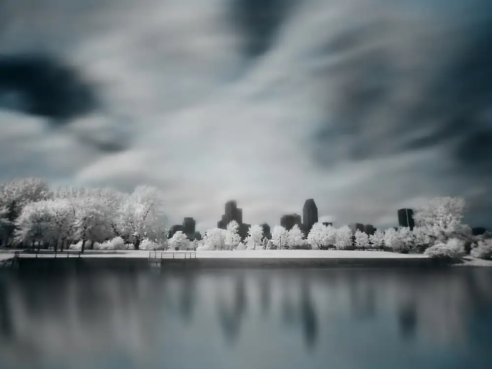 Senechal, David: Winter City