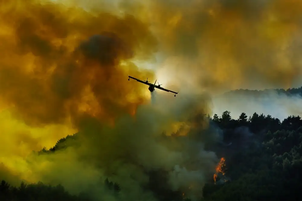 Grambone, Antonio: Letoun Canadair v akci - boj o záchranu lesa.