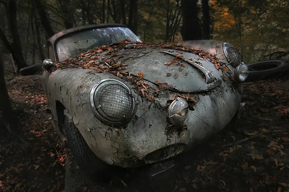 Droste, Holger: roter Wald