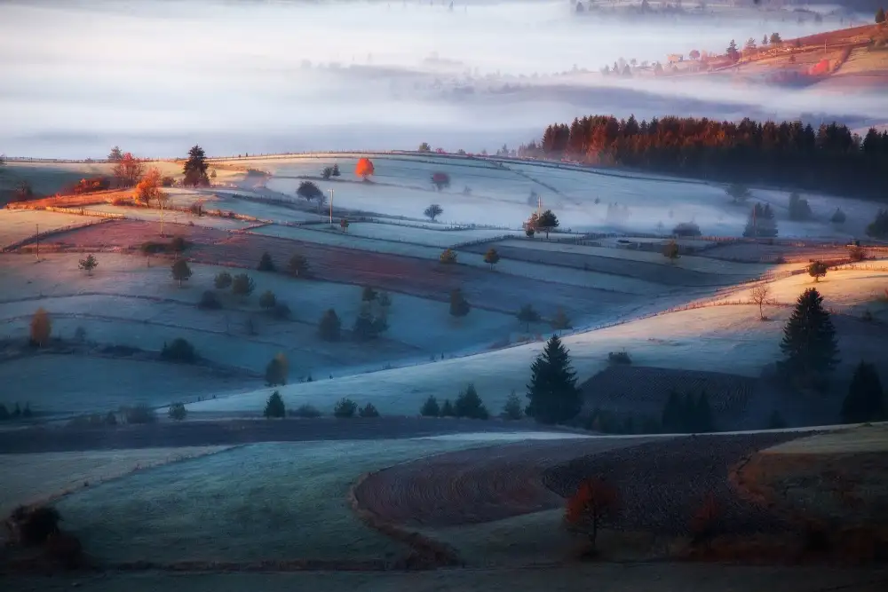 Bajrich, Amir: mist