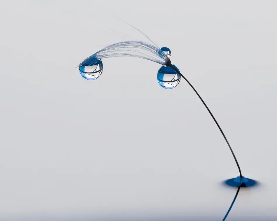 Westum, Heidi: Humeur bleue