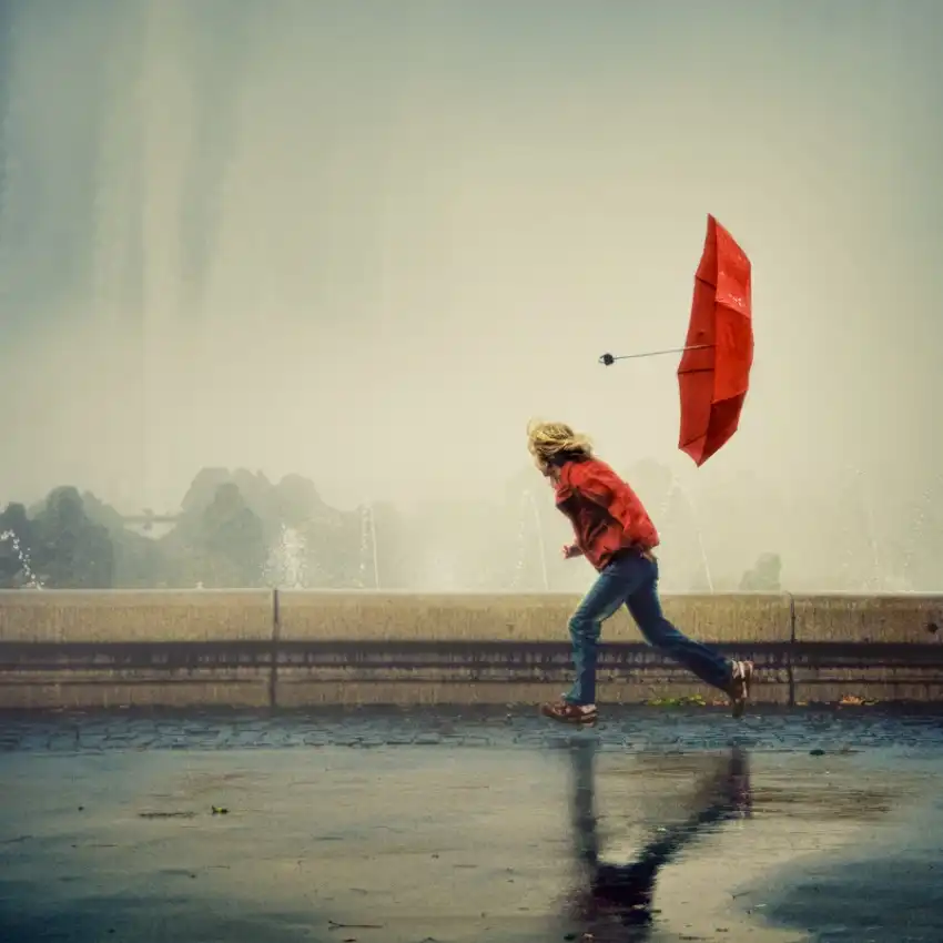 ambra: With the wind