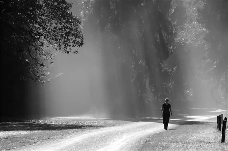 Limberg, Huib: Autumn-morningwalk