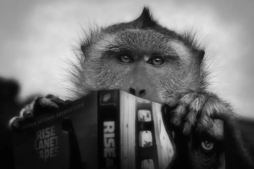 Hoffman, Jimmy: Planet of the apes