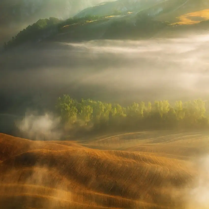 Browko, Krzysztof: Nebbia...