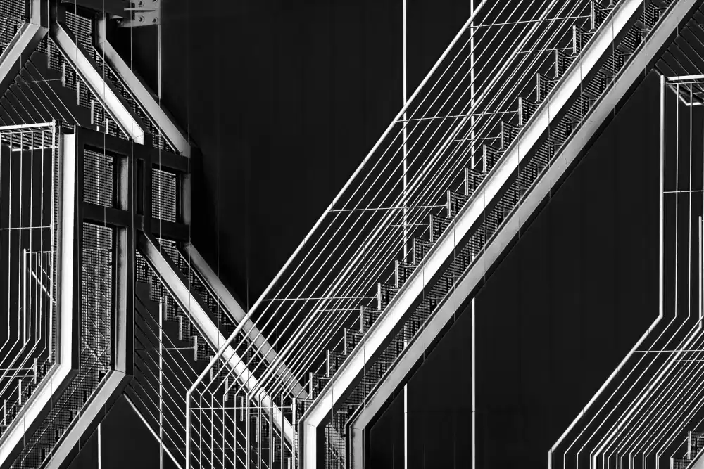 Abrantes, Paulo: Moving Still