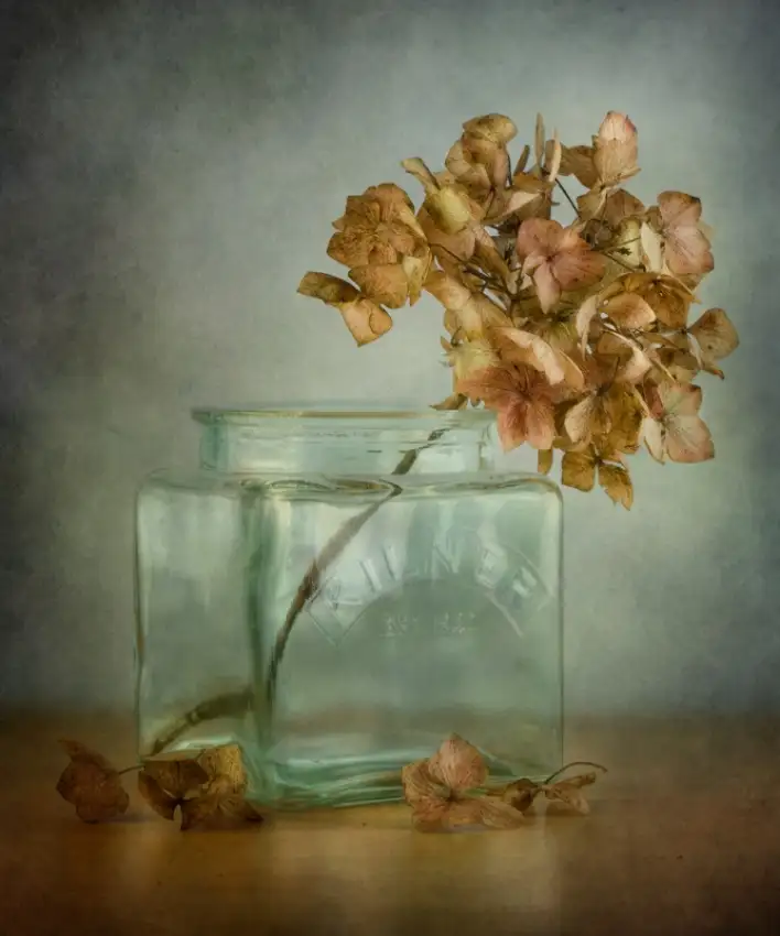 Disher, Mandy: Hortenzie
