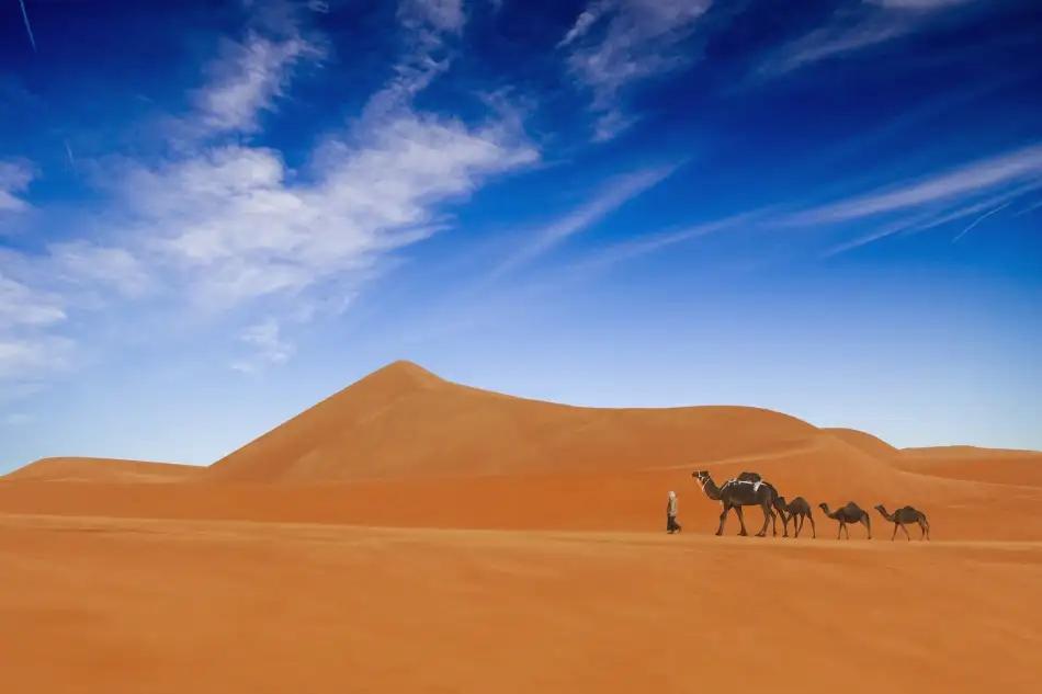 Alhumaid, Hesham: La vie dans le désert..