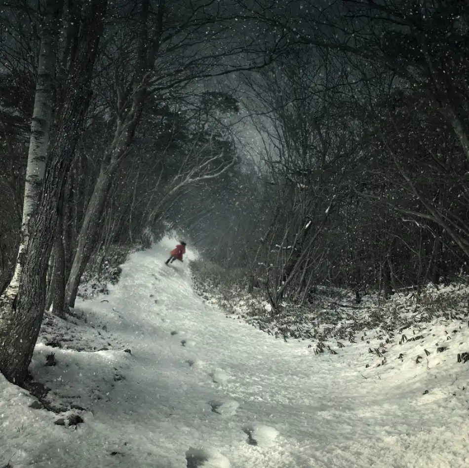 Murakami, Kiyo: In den Winterwald