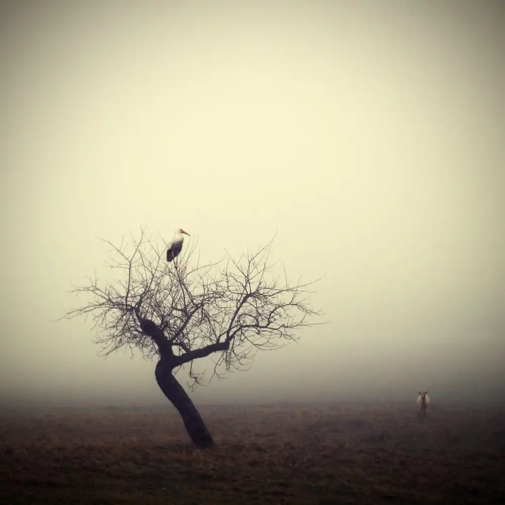 Droste, Holger: Incontro al mattino